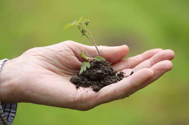 Organic Gardening Image