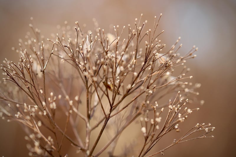 Vertical Plant Decor